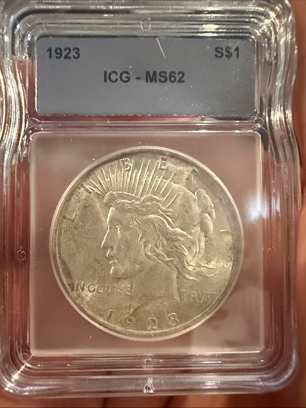 Unbranded Silver-Tone 1923 US Peace Dollar in Plastic Slab